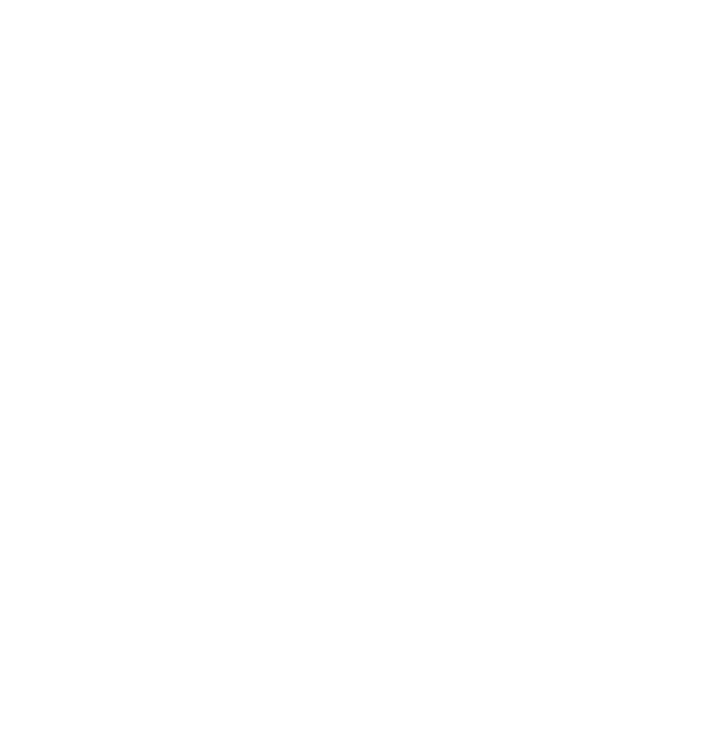 Logo Bug